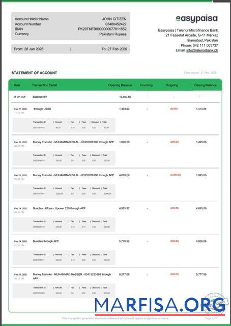 Printable Pakistan Easypaisa statement of account word download for verification